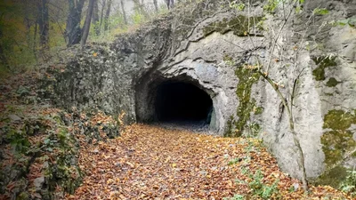 Prokopským údolím